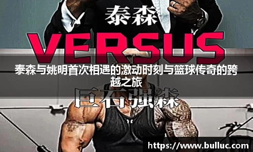 泰森与姚明首次相遇的激动时刻与篮球传奇的跨越之旅