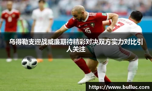 XBET星投官网