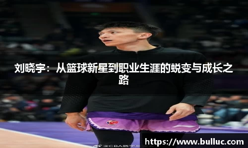 XBET星投官方网站